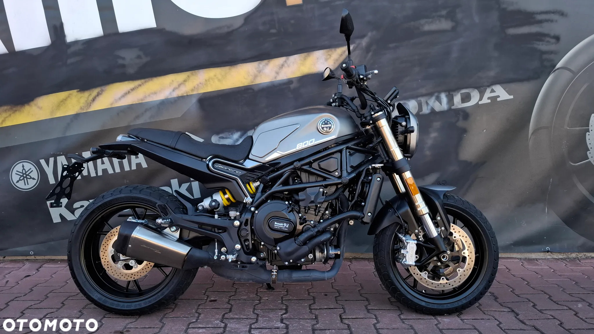 Benelli Leoncino 800